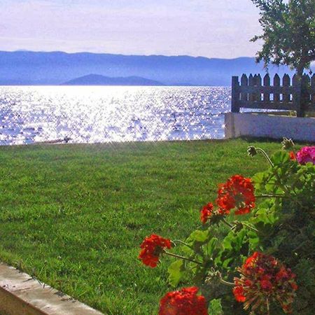 Finata Studios (Adults Only) Kavos Exterior photo